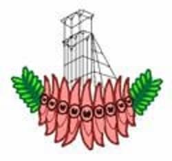 Broken Hill Golf Club