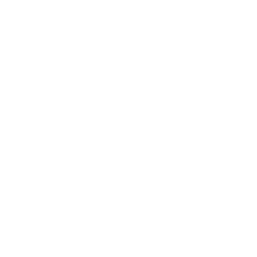 pin icon