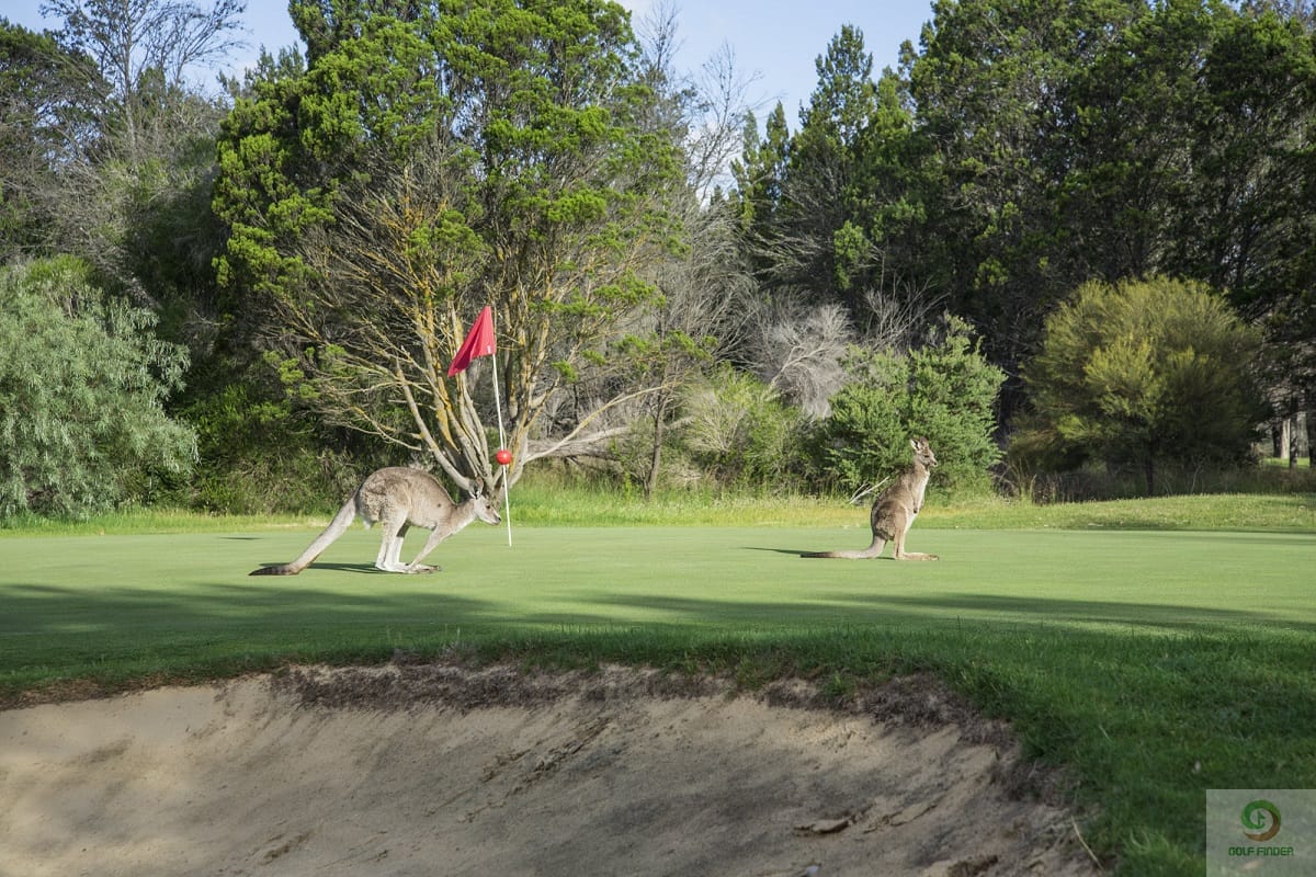 Barossa Valley Golf Club